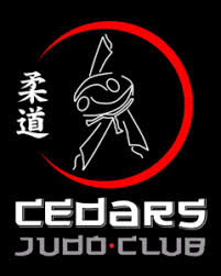 Image result for Court Lane Judo Club