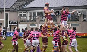 Image result for Sedgley Park Rugby Union Football Club