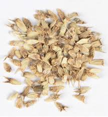 Image result for Edeldistel