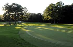 Image result for Roebuck Bowling Club