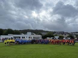 Image result for World of Shinty