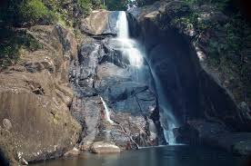 Image result for синхараджа