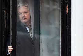 Image result for julian assange