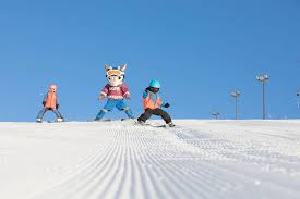 Image result for British Norwegian Ski Club