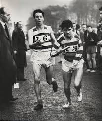 Image result for Victoria Park Harriers Athletics Club