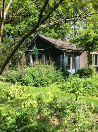 Image result for Priona Tuinen