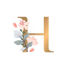 Image result for        H