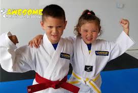 Image result for Awesome Martial Arts Training Center