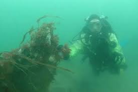 Image result for East Cheshire Sub-Aqua Club