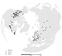 Attēlu rezultāti vaicājumam “Colymbetes paykulli”
