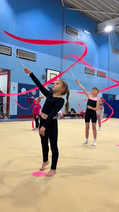 Image result for Merseyside Rhythmic Gymnastics Club