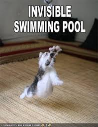 images?q=tbn:ANd9GcSkABnEGbVK4s1pG7kou88W0RKCgfmwUdjIknciOag7BQRP8NAN