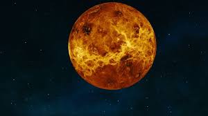 Image result for venus