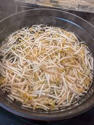 Image result for bean sprout