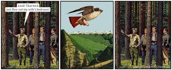 Image result for jeroom