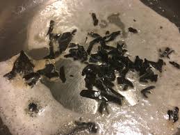 Attēlu rezultāti vaicājumam “Craterium aureum stalked”