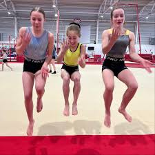 Image result for City Of Newcastle Gymnastics Academy