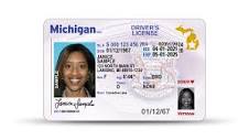 License and ID information