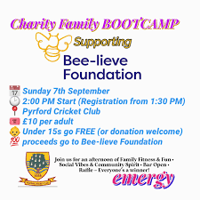 Image result for Pyrford Cricket Club