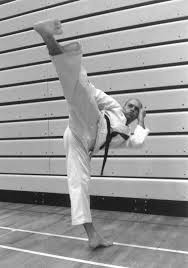 Image result for Nottingham Sankukai Karate