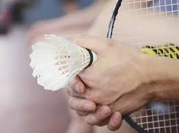 Image result for Three Spires Badminton Club