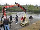 North Winds Weir  Site 1  Duwamish Salmon Habitat Acquisition and