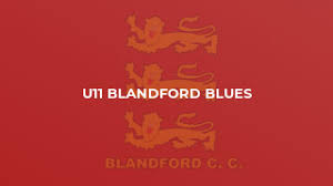 Image result for Blandford Badminton Club