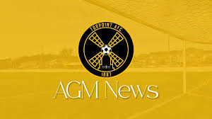 Image result for Torpoint Athletic Football Club