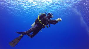 Image result for Blue Water Diving
