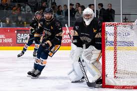 Image result for Romford Raiders