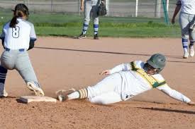 Image result for Dragons Softball Club