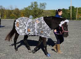 Image result for The Riding Centre