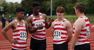 Image result for Wee County Harriers