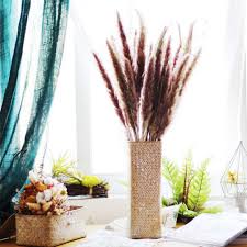 Attēlu rezultāti vaicājumam “Phragmites communis flower”