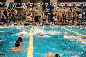 Image result for Lutterworth Swimming Club