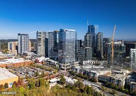 Image result for Bellevue