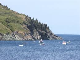 Image result for Churston Golf Club Ltd