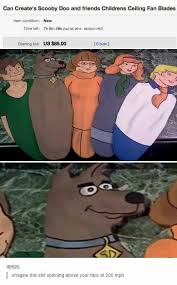 Image result for apupy