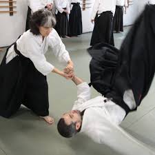 Image result for Moslin & Dewandre Aiki Dojo