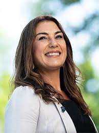 Image result for lidia