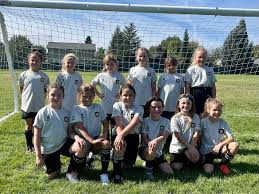 Image result for Meadows Sports Association