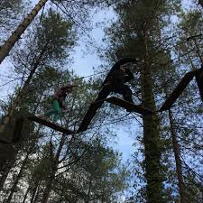 Image result for Go Ape! Moors Valley
