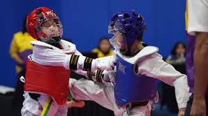 Image result for COMBAT TAEKWONDO