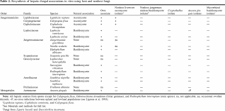 Attēlu rezultāti vaicājumam “Harpanthus flotovianus cells”