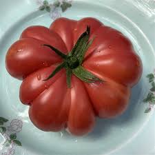Afbeeldingsresultaat voor 1884 purple tomato