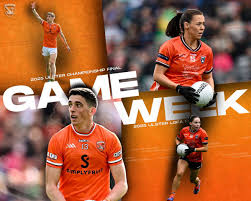 Image result for Ballyhegan Davitts Gaa Club