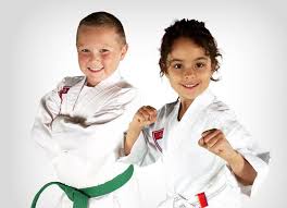 Image result for Dacula Martial Arts Academy