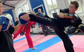 Image result for middlesbrough karate academy