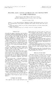 Attēlu rezultāti vaicājumam “Oniscoidea”