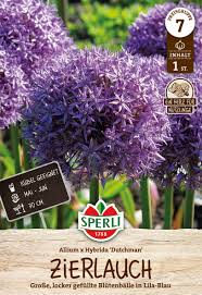 Image result for Zierlauch